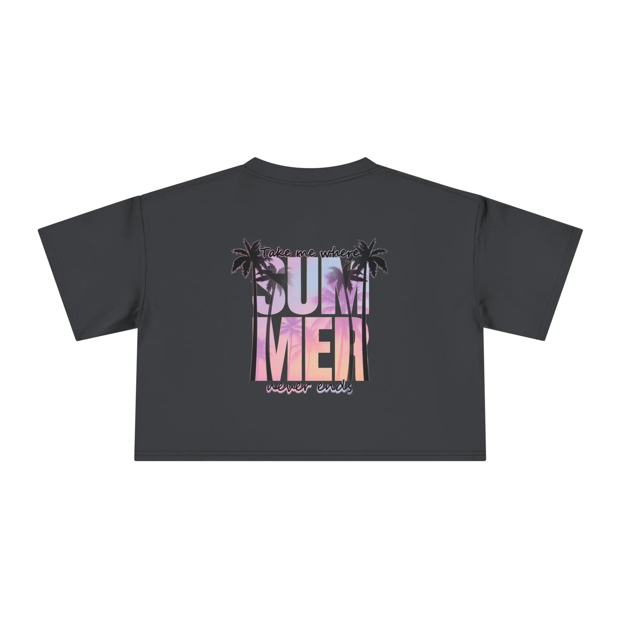 Grey crop top with 'Take me where Summer never ends' graphic design on a white background